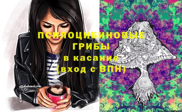 винт Алзамай