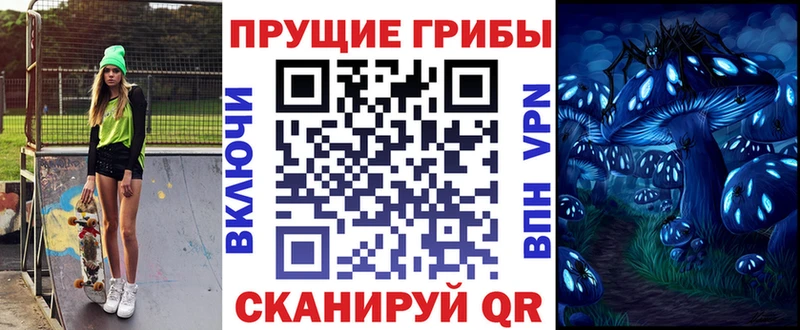Псилоцибиновые грибы Psilocybine cubensis  Похвистнево 